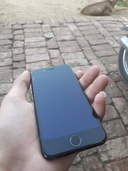 iPhone 7 128gb pta approved 5