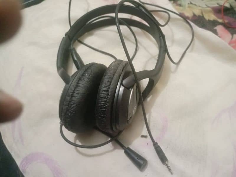 HP Headphone 1