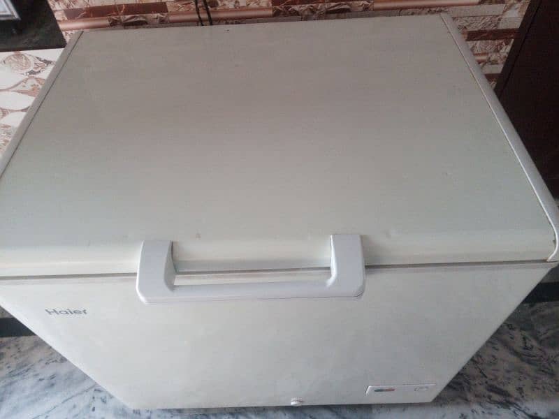 single door Haier freezer for sale  55000 03224686079 1