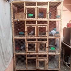 Pigeon Breeding Cage