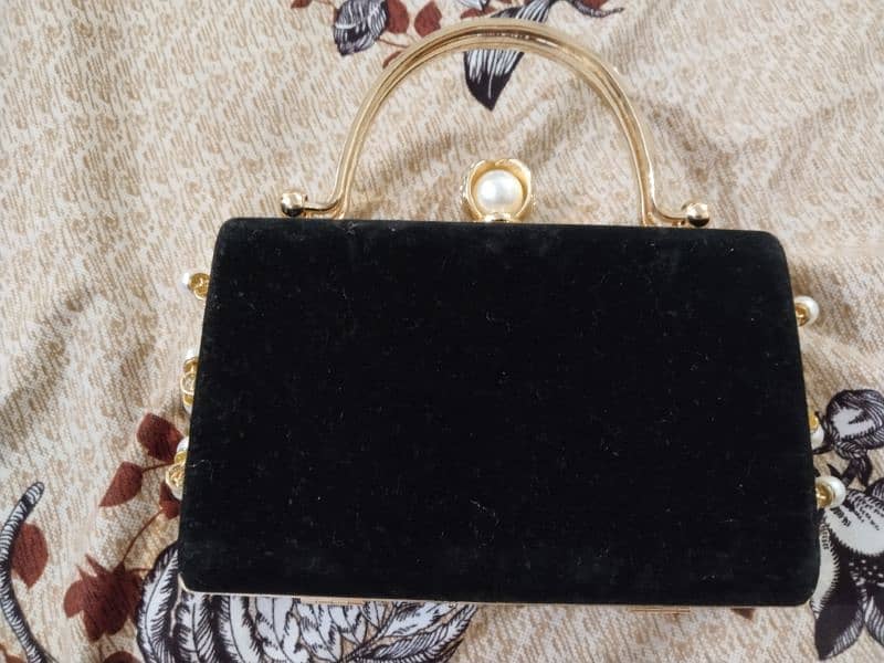 embroidered velvet clutch 2