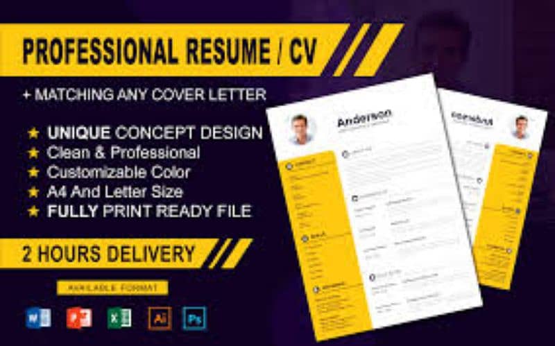 Professional CV Designer 2