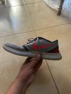 Nike Free Run for Sale