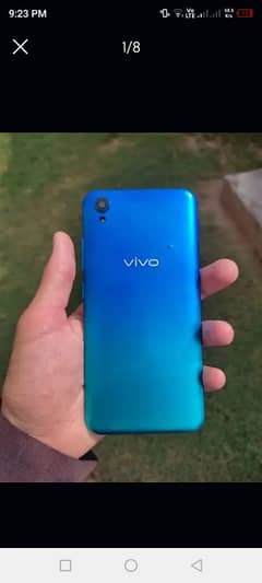 vivo