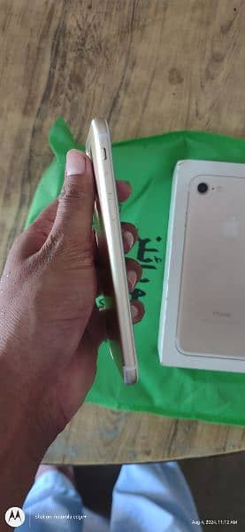 iphone 7 pta prove 5