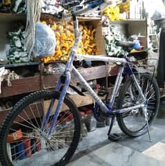 Phoenix Bicycle for sale in responsible price.