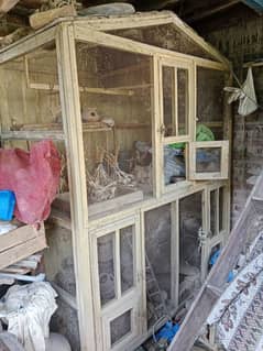 birds mastercage for sale