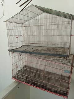 HEN, PARROT  CAGE