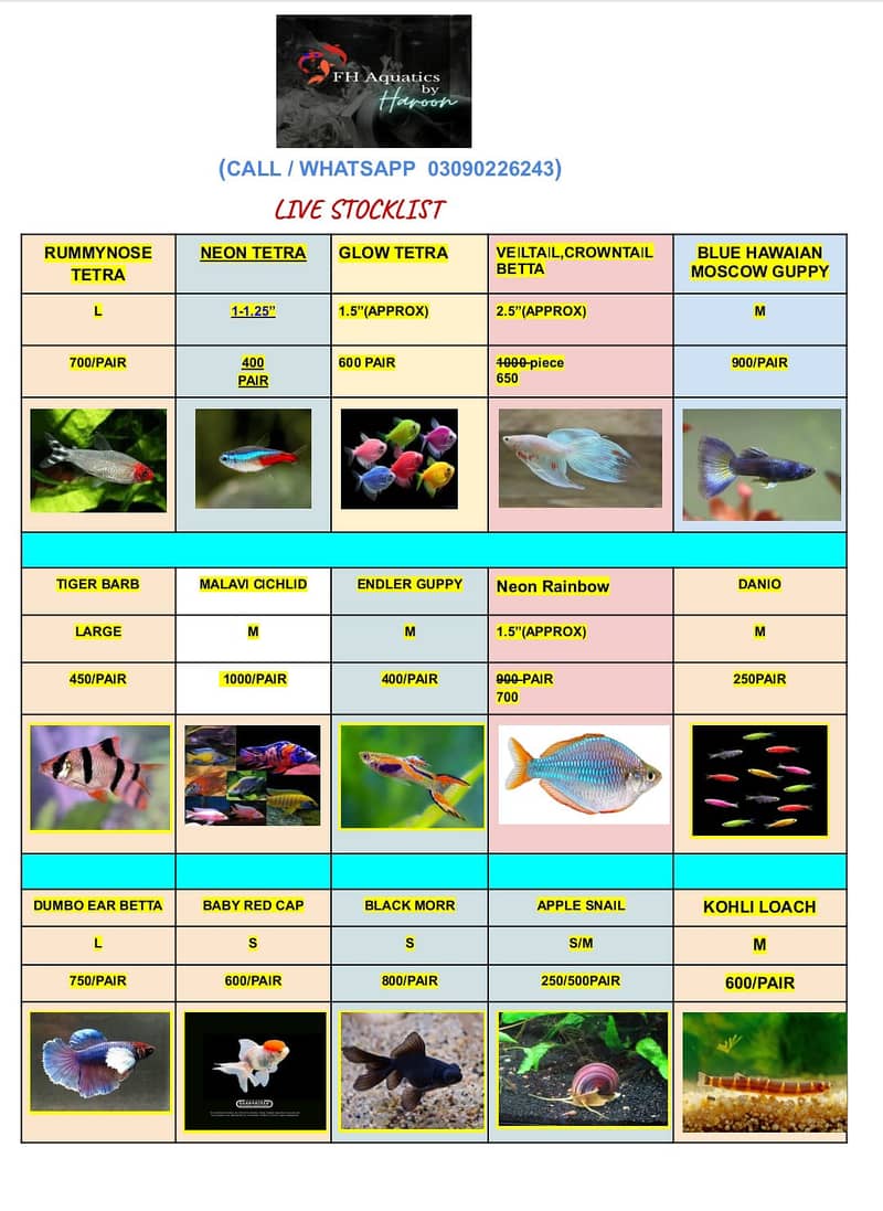 Aquarium Fish available for sale 0