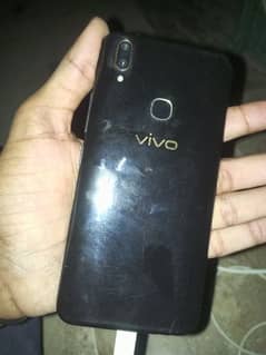 vivo