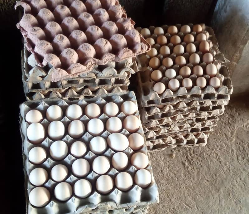 Egg | Golden Mis | Hens egg | Organic Desi Eggs | Desi eggs 0