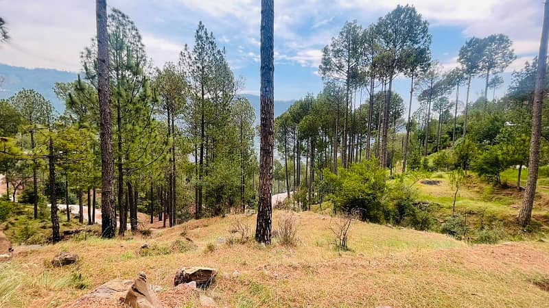 Plot For Sale Hill Top Lodges Islamabad-Murree Expressway. 7