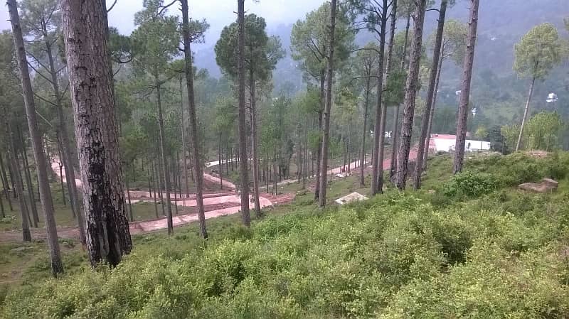 5 Marla Possession Able Plot Near Murree Expressway 8