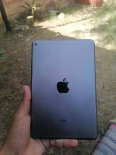 iPadmini 5 0