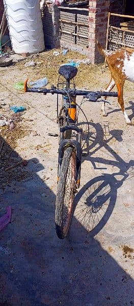 Bicycle for sale 5