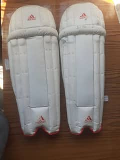 cricket Pads