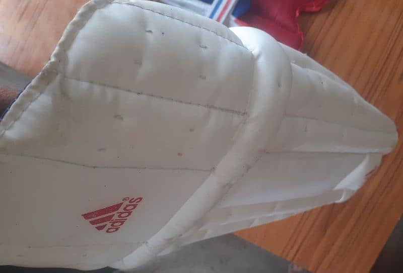 cricket Pads 3