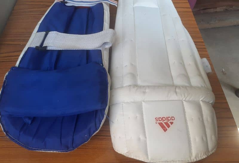 cricket Pads 4