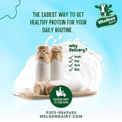 Fresh and organic 100% pure milk with free delivery