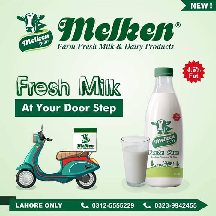 Fresh and organic 100% pure milk with free delivery 4