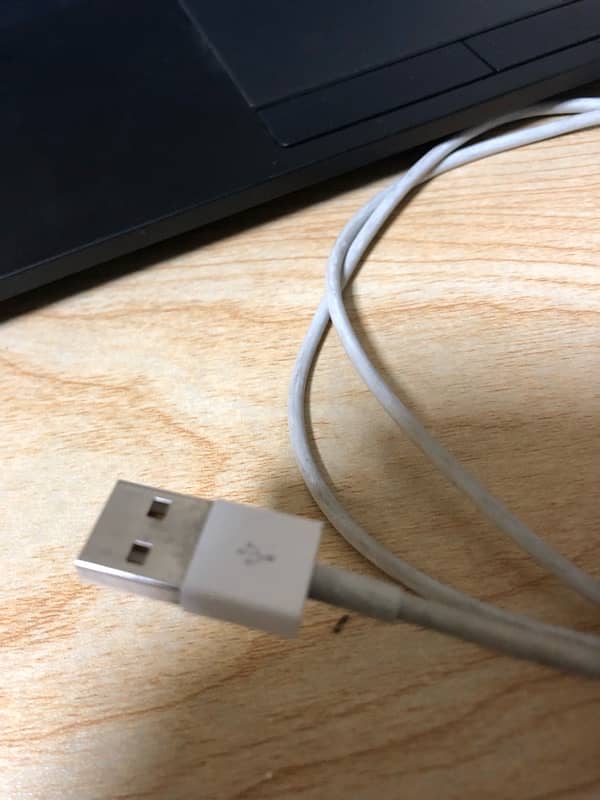 Apple Watch Series 4 original cable 1