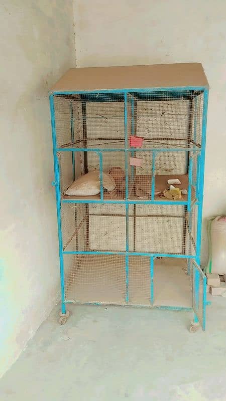 birds cage 1