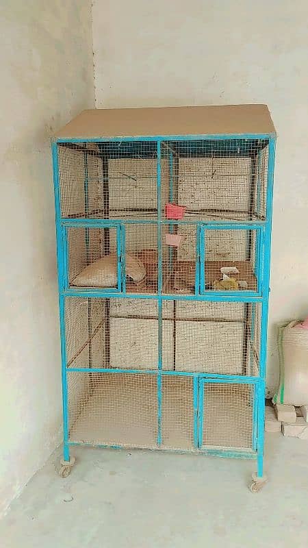 birds cage 3