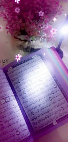 Quran Pak sekhain