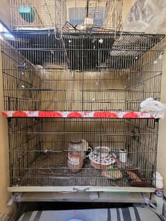 birds cage for sale