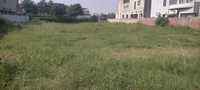 Affordable plot for sale -Great Value 1