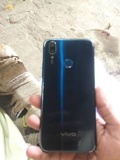 vivo