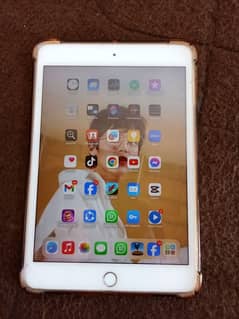 I PAD MINI 5 0