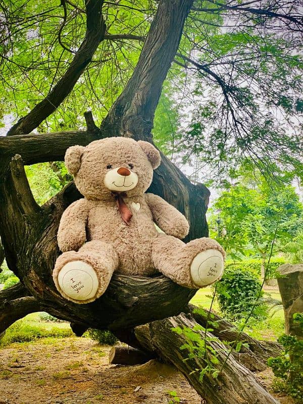 All size teddy bear available cash on delivery all pakistan. 6