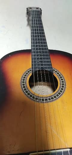 Guitar