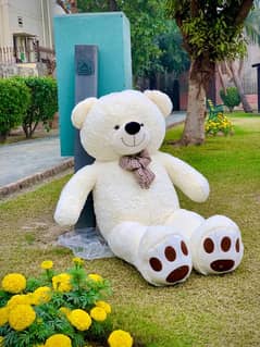 All size teddy bears available Deliver all over Pakistan