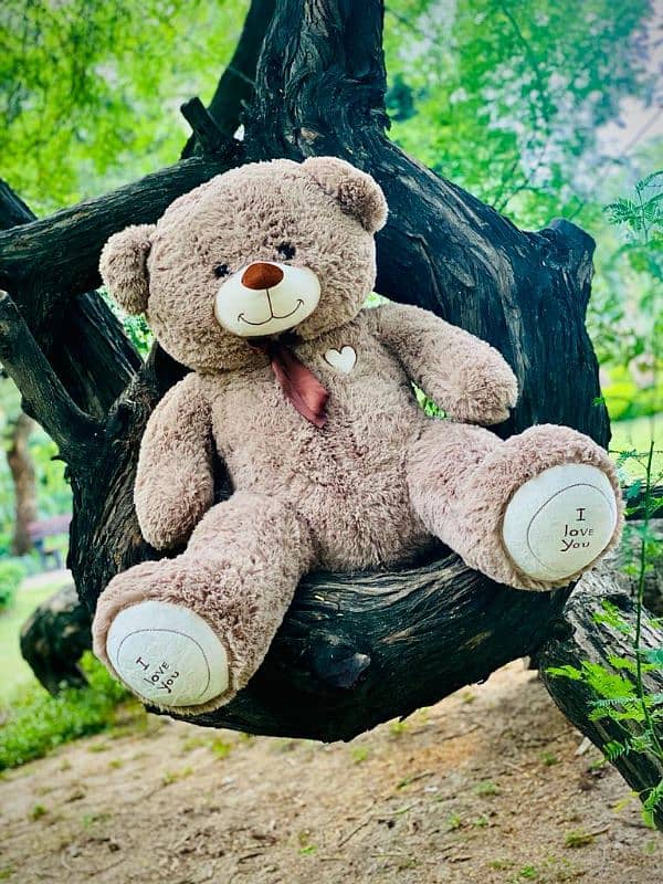 All size teddy bears available Deliver all over Pakistan 9