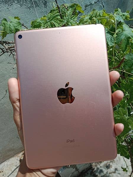 ipad mini 5 0