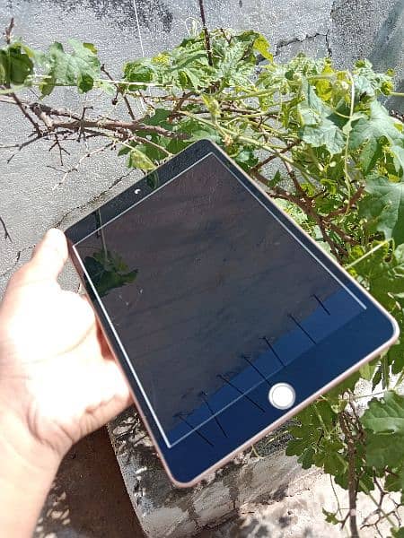 ipad mini 5 3