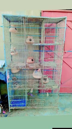 Excellent Condition 12 cage , 2 cage and single cage penjra