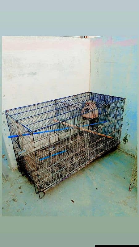 Excellent Condition 12 cage , 2 cage and single cage penjra 1