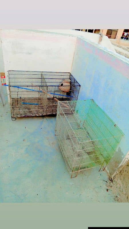 Excellent Condition 12 cage , 2 cage and single cage penjra 3