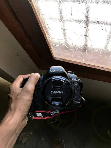 Canon 5D Mark ii with 50mm Lens 5