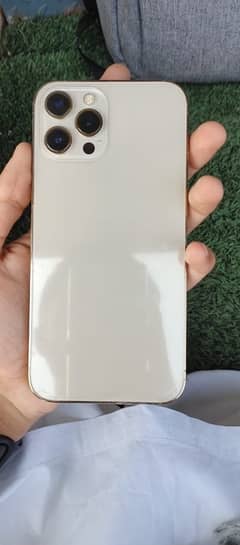 Iphone 12 pro max jv Golden clr 128gb