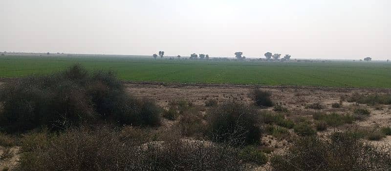 agricultural land available at lease in Khair purr tamaywali at lease 3