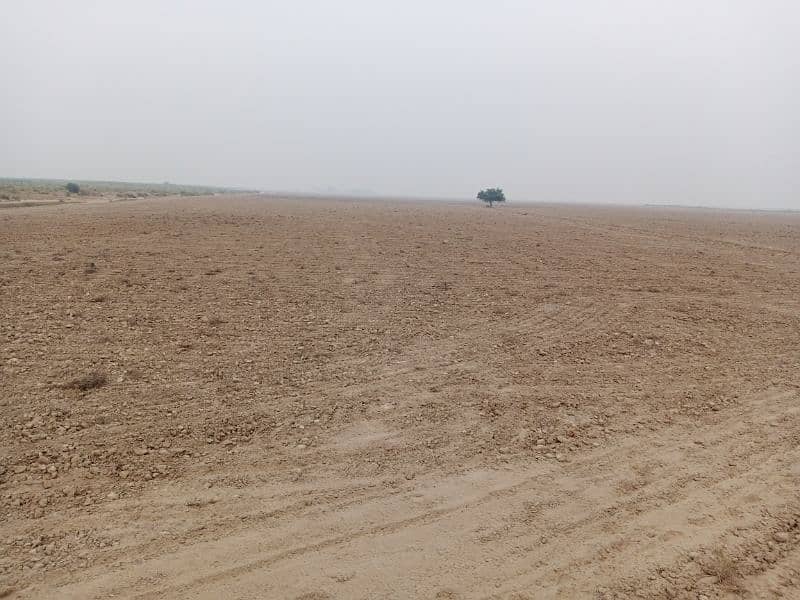 agricultural land available at lease in Khair purr tamaywali at lease 4