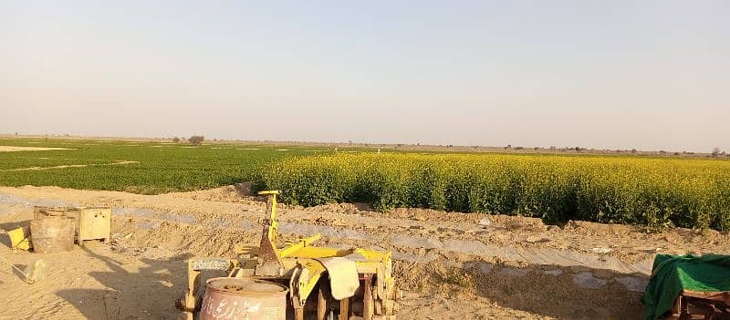 agricultural land available at lease in Khair purr tamaywali at lease 6