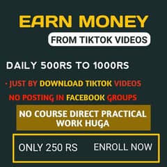 Earn From Downloading Tiktok Videos 0