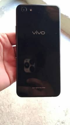 Vivo