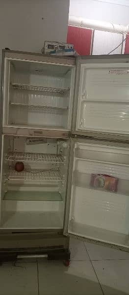 Fridge 1