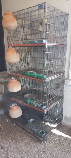 Cages and Birds For Sale